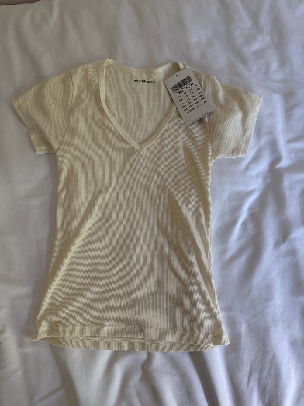 NWT! Brandy Melville Cream V Neck Tshirt